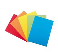 Blasetti CF25CARTELLINE CARTEX 3L ROSSO