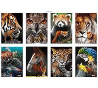 Blasetti Maxi quadernoni A4 80gr Quadretti 10 mm Animals – 10 pezzi