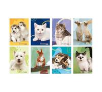 Blasetti - Maxi quadernoni a4 80gr - rigo b - 3a elementare - Cucciolissimi (10pz)