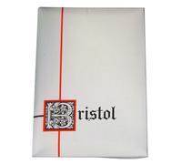 Blasetti Plichi Blasetti 10 biglietti più 10 buste - 80 g 90x140 mm conf. 30 pz