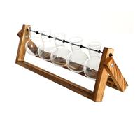 BLASHRD Vaso da Fiore A Parete Trasparente per Pianta Che Cresce Sull'Acqua con Bottiglia da Coltura per Decorazione Ornamentale