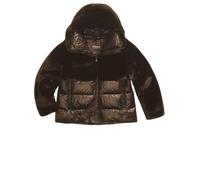 Blauer Giubbino Java Marrone 25WBLDC02178 JAVA MARRONE XS