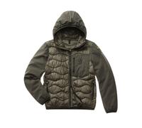 Blauer Ovatta Verde Uomo