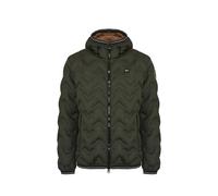 Blauer Piumino Ad Angoli Piery (IT, Testo, L, Regular, Regular, Tiglio Selvatico)