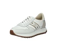 Blauer.USA Sneaker bassa oro / talpa / bianco Donna Blauer.USA 37 oro / talpa / bianco
