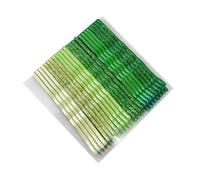 Blausky 1 set di 24 perni Bobby da 5 cm, piccole forcine per capelli a forma di U, forcine per capelli in metallo, per donne e donne, colore verde