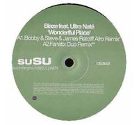 Blaze Ft Ultra Nate - Wonderful Place