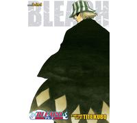 Bleach (3-in-1 Edition), Vol. 2 : Includes vols. 4, 5 & 6 Volume 2: Omnibus Edit