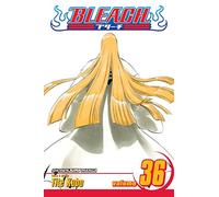 Bleach 36: Turn Back the Pendulum
