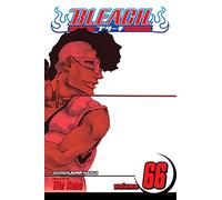 Bleach 66: Sorry I Am Strong