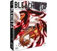 Bleach - Arc 14 Part 1: Fall Of The Arrancar (Eps. 266-291) (4 Blu-Ray (Blu-ray)