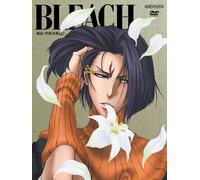 Bleach Arrancar - Battle in Karakura Series 2