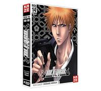 Bleach, saison 4, vol. 14