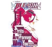 BLEACH : Spirits Are Forever With You 2