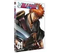 Bleach, vol. 1