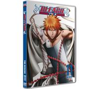Bleach, vol. 11