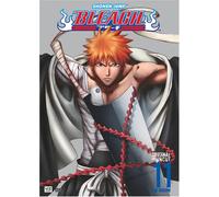 Bleach - Vol. 11