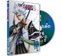 Bleach, vol. 12