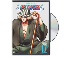 Bleach - Vol. 17