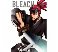 Bleach Vol. 5 - The Substitute/Episoden 17-20