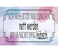 Blechschild 18x12 cm ich muss mal langsam nett werden