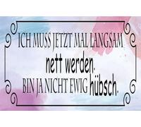 Blechschild 20x30 cm ich muss mal langsam nett werden
