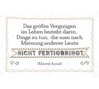 Blechschild 20x30 cm Vergnügen Dinge zu tun, die nach Meinung anderer