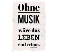 Blechschild 20x30 cm Zitat Ohne Musik wäre das Leben ein Irrtum Nietzsche
