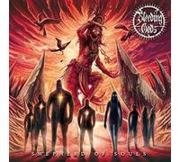 Bleeding Gods - Shepherd Of Souls
