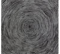 Bleeding Heart Pigeons - Is