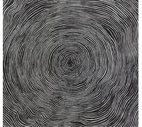 Bleeding Heart Pigeons Is (CD) Album