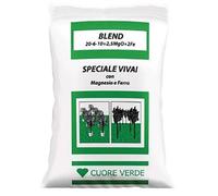 Blend concime 20-6-10 per piante in vaso con ferro 25Kg
