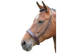 BlenheimHunter Pelle Cavezza per Cavallo (ER173)