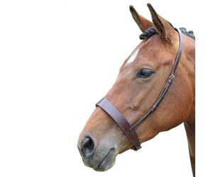 BlenheimHunter Pelle Cavezza per Cavallo (ER173)