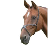 BlenheimMessicano Pelle Fascia per il Naso per Cavallo (ER139)