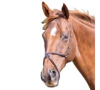 BlenheimMessicano Pelle Fascia per il Naso per Cavallo (ER139)