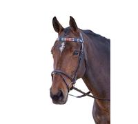 BlenheimPelle Polo Frontalino Equitazione (ER195)