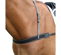 BlenheimPelle Sottopancia Elastico per Cavallo (ER226)