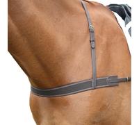 BlenheimPelle Sottopancia Elastico per Cavallo (ER226)