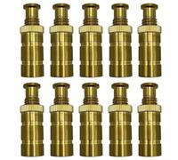 BlesConi Ancoraggi di sicurezza in ottone resistenti alle intemperie, lunghezza 3,5 cm per fori da 3/4", compatibili con le principali marche su ponti in cemento (10 pezzi)