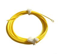 BlesConi Skagit - Lenza da pesca a mosca ad alta visibilità per canne a due mani, testa di lancio affondante per anelli saldati, per costruzione in nylon (3,9 metri)