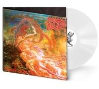 blessed are the sick (phd exclusive white vinyl)