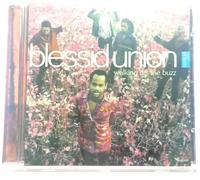 Blessid Union - Walking Off the Buzz