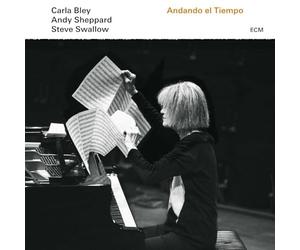 Bley, Carla / Swallow, Steve / Sheppard, Andy - Andando El Tiempo - U