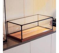 Bliajkswyr Teca Plexiglass Tecca da Esposizione in Acrilico Base in Legno Vetrina Protettiva Antipolvere Scatola Trasparente Assemblare per Action Figure/Trofei/Contenitori La Casa(15x15x60cm)