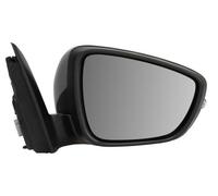 BLIC 5402-03-2152313P Specchietto retrovisore esterno