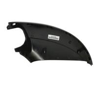 Specchio esterno - fascia BLIC 5402-04-1623319P