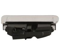 Luce targa BLIC 5402-042-31-905