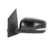 BLIC 5402-09-2002165P Specchio retrovisore esterno per RENAULT