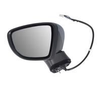 BLIC 5402-16-2104316P Specchietto retrovisore esterno